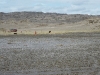 084-lake-natron