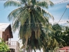 417-caye-caulker